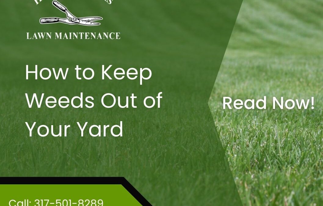 How To Keep Weeds Out Of Your Yard