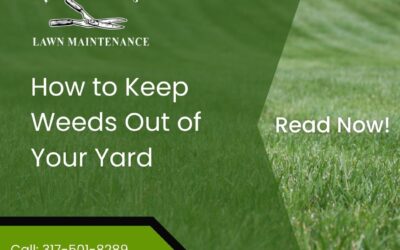 How To Keep Weeds Out Of Your Yard